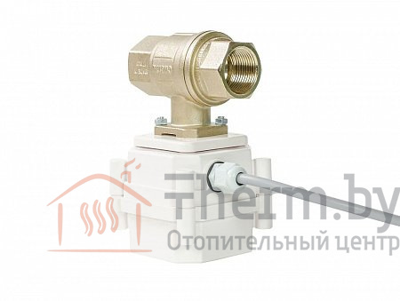 Детальное изображение Шаровой кран с электроприводом GidrolockUltimate Bonomi 1", 220V в интернет-магазине THERM.BY