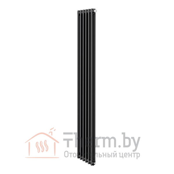 Детальное изображение Радиатор стальной трубчатый Royal Thermo Insignia VC2180 RAL9005m [6 секций] в интернет-магазине THERM.BY