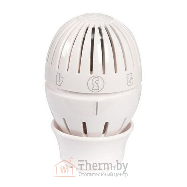 Детальное изображение Термостатическая головка Giacomini с жидкостным датчиком и настройкой против замораживания 1/2" арт. R470X001 в интернет-магазине THERM.BY