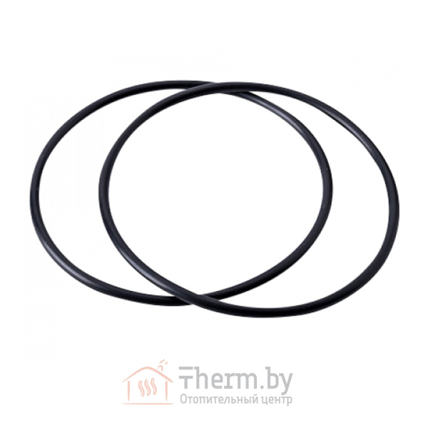 Детальное изображение Комплект уплотнительных колец (2 шт.) для колб 20BB VIRMUT в интернет-магазине THERM.BY