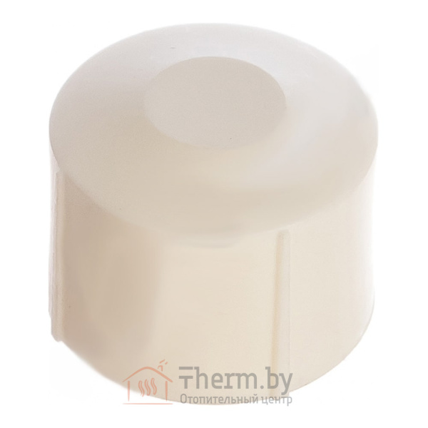 Детальное изображение Заглушка ПП 40 мм Aquapipe в интернет-магазине THERM.BY