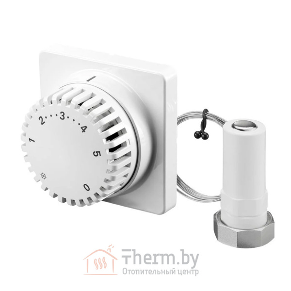 Детальное изображение Термостат дистанционного управления M30 x 1.5 длина 2.0 м Rossweiner арт. 134 15 50 в интернет-магазине THERM.BY