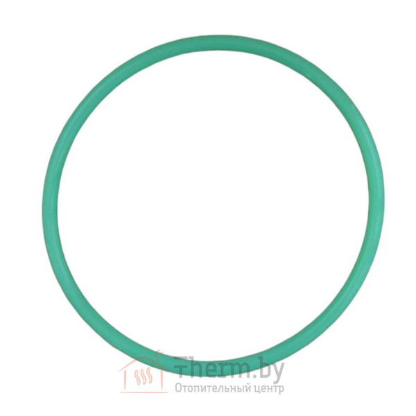 Детальное изображение Кольцо уплотнительное для систем RO-11 VIRMUT в интернет-магазине THERM.BY