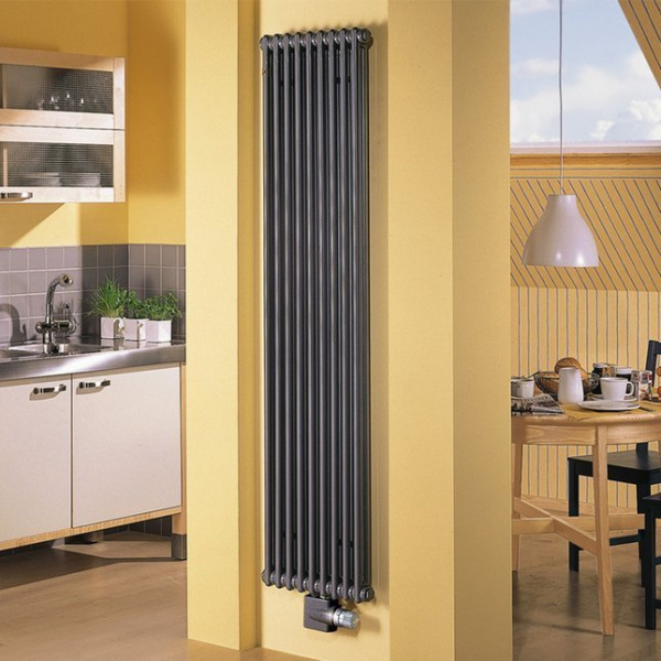 Детальное изображение Радиатор стальной трубчатый Zehnder Charleston 3280 100-2800 мм [1 секция] в интернет-магазине THERM.BY